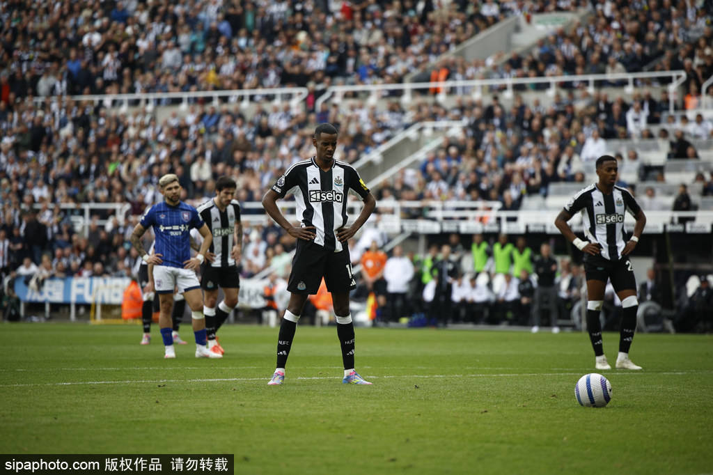 我们将从事 我们将从事