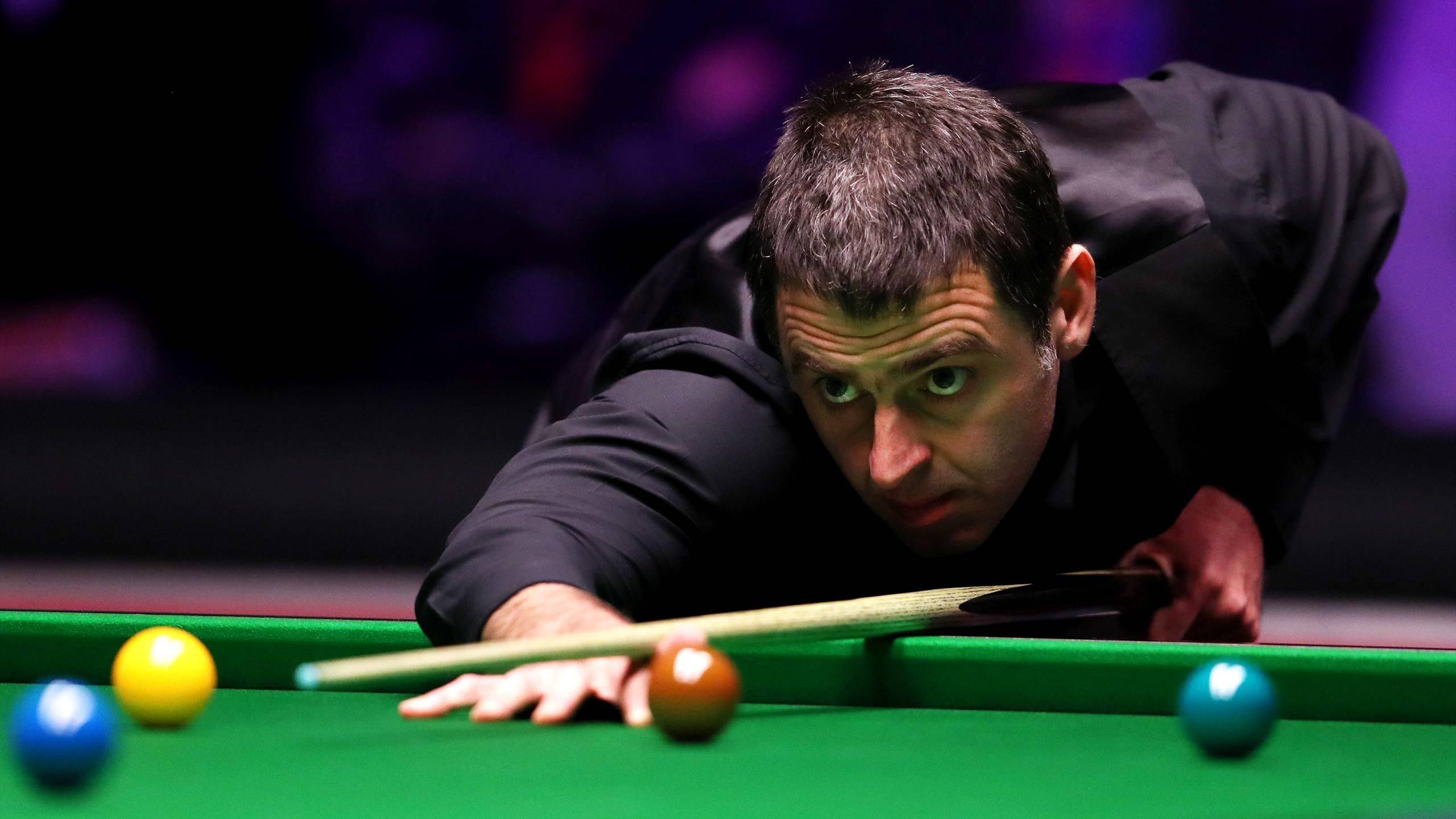 注度和执行 注度和执行